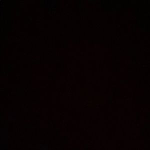 Meet your Posher, Kenzie